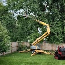 Best Tree Maintenance Programs  in Oceano, CA